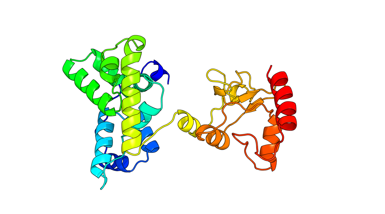 Protein Structure 1